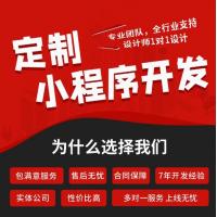专业团队全行业支持定制设计师1对1设计小程序开发
